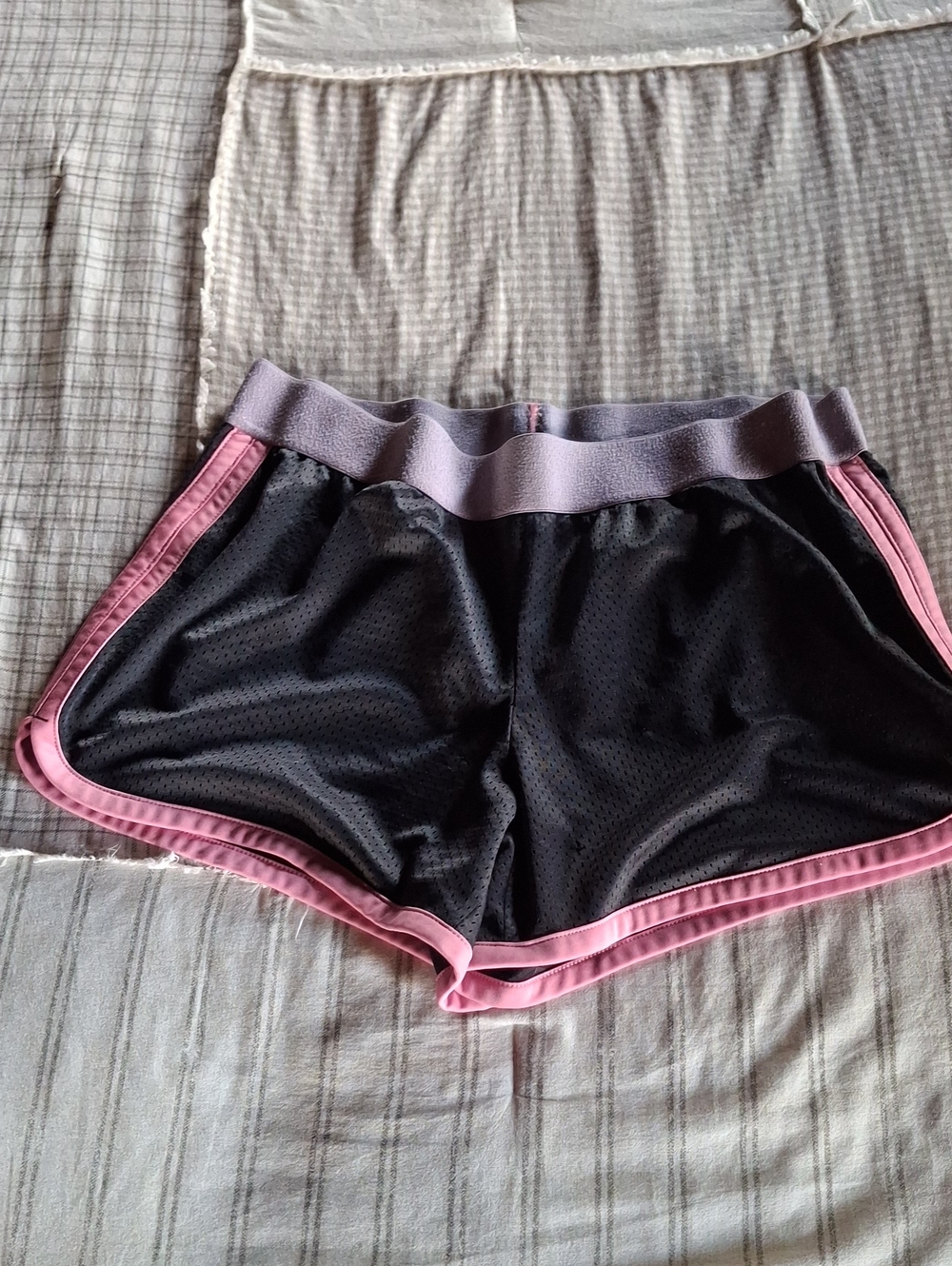 Danskin Now Black Mesh Athletic Shorts with Pink Trim and Lavender Waistband